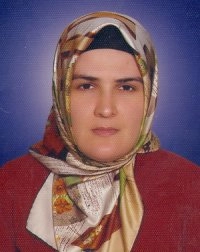 Dr. Öğr. Üyesi Elif YAZICI